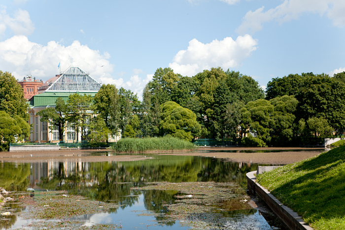 Таврический сад фото летом в санкт петербурге