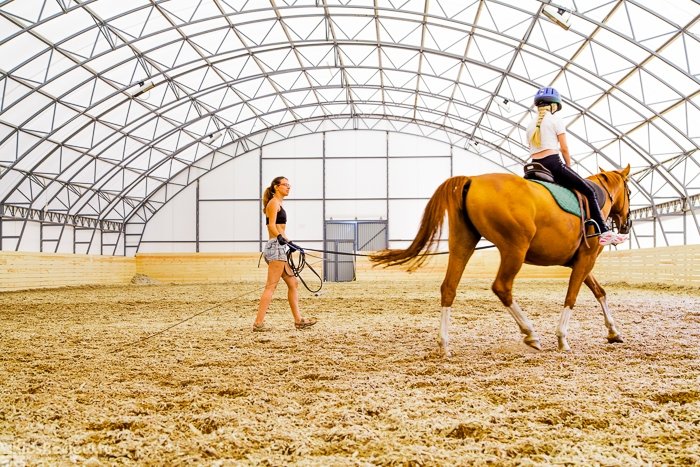 Horse riding lessons. Уроки верховой езды. Занятия конным спортом. Конно-спортивный комплекс. Групповые занятия конным спортом для детей.